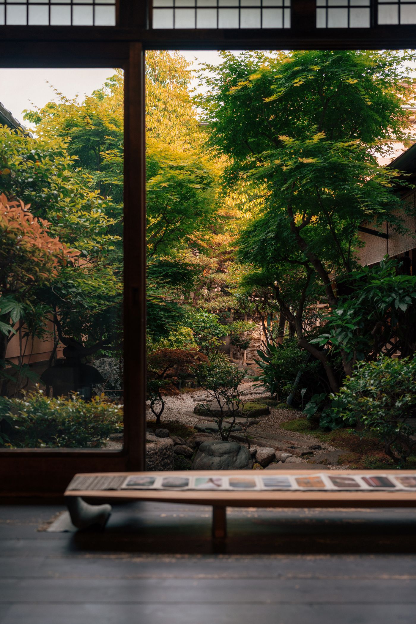 広縁の障子を開け放った先に見える、苔と紅葉のある坪庭